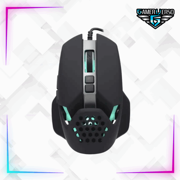 Mouse GM1093